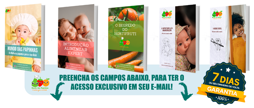 Receitas E Introdu O Alimentar Mais B Nus