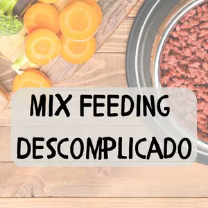 Imagem de capa para o Curso online Mix Feeding Descomplicado