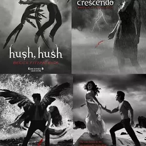 Imagen de portada para Curso online Saga hush hush por Becca Fitzpatrick archivos en digital