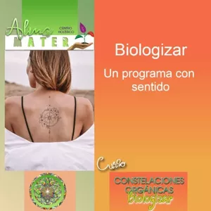 Imagen de portada para Curso online Constelaciones Orgánicas. Webinar 1 