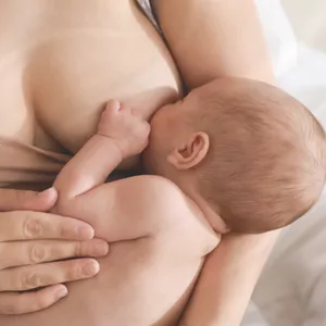 Imagen de portada para Ebook Introducción a la Alimentación Durante la Lactancia