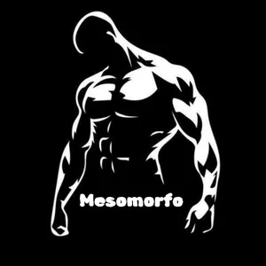 Imagem de capa para o Ebook Guia do mesomorfo:conquiste seus resultados com mais facilidade 