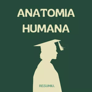 Imagem de capa para o Ebook Ebook Completo de Anatomia Humana