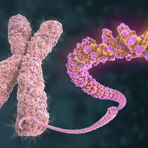 Imagem de capa para o Ebook Resumo de herança monogênica