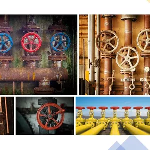 Imagem de capa para o Curso online Curso básico de válvulas industriais