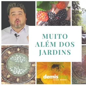 Imagem do curso Curso básico de Jardinagem : Desenvolvendo o Dedo Verde