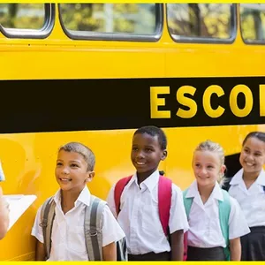 Imagem de capa para o Curso online MONITOR DE TRANSPORTE ESCOLAR - 40 HORAS