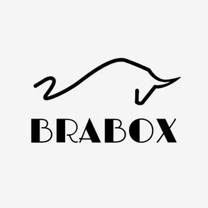 Imagem de capa para o Curso online Indicadores Brabox
