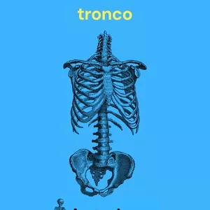 Imagem de capa para o Ebook E-book descomplicando a anatomia dos ossos do tronco