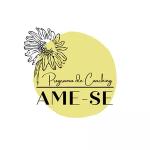 Imagem de capa para o Serviço online Programa de Coaching Individual AME-SE