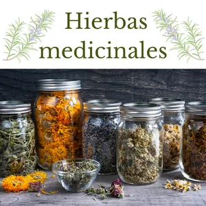 Imagem de capa para o Curso online  Hierbas medicinales