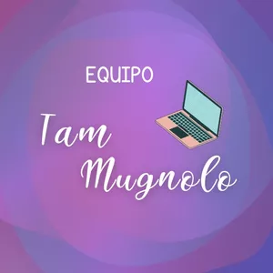 Imagen de portada para Ebook Asesoria con Tam