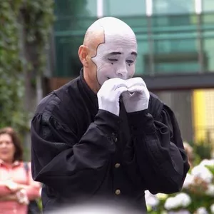 Imagem do curso Curso de Mímica Everton Ferre