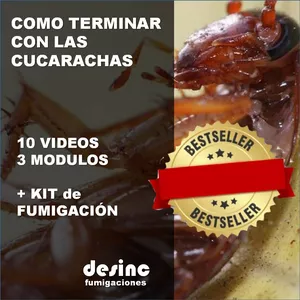 Imagen de portada para Curso online Como terminar con las cucarachas