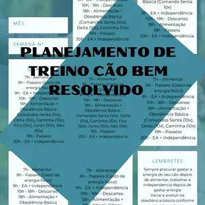 Planilha Planilha de Treino Cão Bem Resolvido
