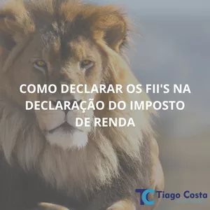 Imagem de capa para o Ebook Como declarar os Fundos de Investimentos Imobiliários (FII's) na Declaração do Imposto de Renda