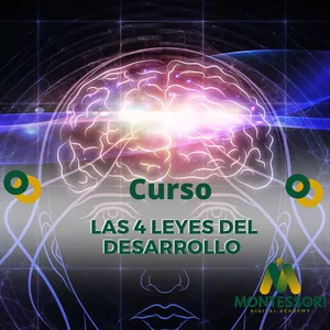 Imagen de portada para Curso online LAS 4 LEYES