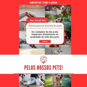 Imagem de capa para o Ebook Primeiros Passos Pet Para Ser Feliz