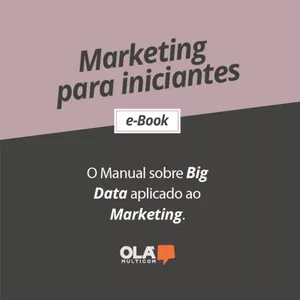 Imagem de capa para o Ebook O manual sobre big data aplicado ao marketing