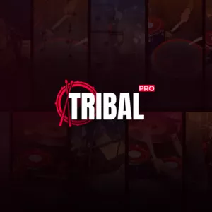 Imagem de capa para o Curso online Tribal Pro