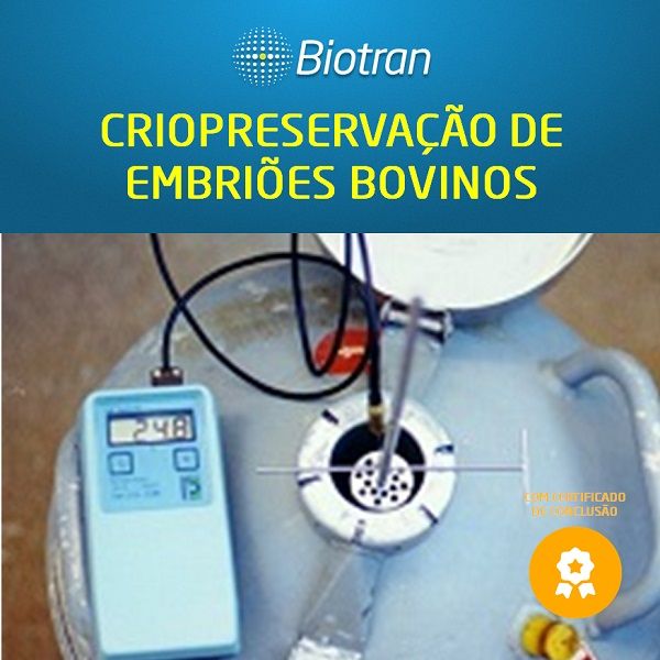 Capa do curso 