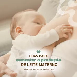 Imagem de capa para o Ebook Chás para aumentar a produção de leite materno 