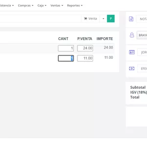 Imagen de portada para Curso online SISTEMA PARA PUNTO DE VENTA CON ALMACEN