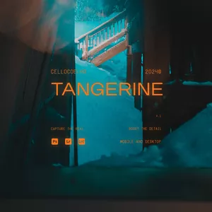 Cover image for Online course Tangerine - Lightroom Preset