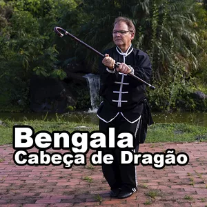 Imagem de capa para o Curso online Kung Fu Armas-" Bengala Cabeça de Dragão"- 龍頭手杖 - Lóng Tóu Shǒu Zhàng