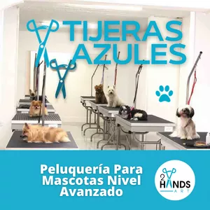 Imagen de portada para Curso online Certificación Tijeras azules 