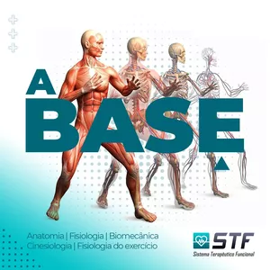 A BASE: anatomia, fisiologia, fisiologia do exercício, biomecânica, cinesiologia na prática
