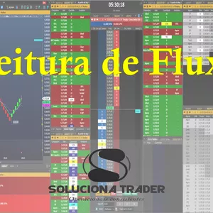 Imagem de capa para o Curso online Leitura de Fluxo WDOFUT