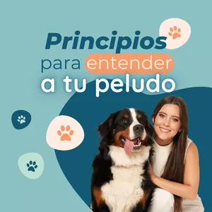 Imagen de portada para Curso online Principios para entender a tu peludo 04577