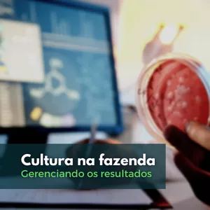 Cultura na fazenda: Gerenciando os resultados
