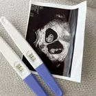 Foto do Criador Carolina Oliveira