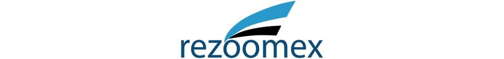 Rezoomex School logo