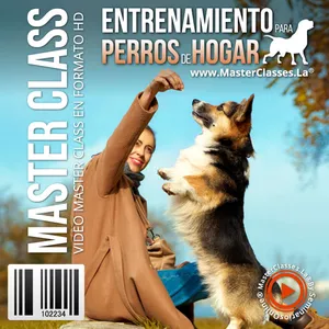 Imagem principal do produto Entrenamiento para Perros de Hogar