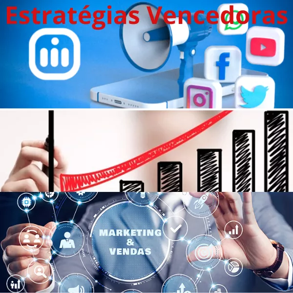 EVRS - Estratégias Vencedoras: Domine as Redes Sociais para o seu Negócio