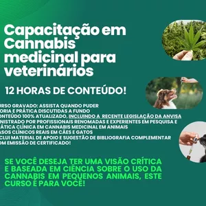 Imagem de capa para o Curso online Capacitação em Cannabis medicinal para veterinários 