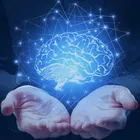 Cursos Online Alpha