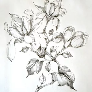 Imagem de capa para o Curso online Curso de Desenho Botânico Imaginativo 