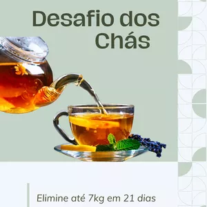 Imagem de capa para o Ebook Receitas de chás emagrecedores