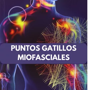 Imagen de portada para Curso online PROGRAMA DE CURSO PUNTOS GATILLO MIOFASCIALES,  VIAS ANATÓMICAS, TRATAMIENTO MANUAL.