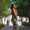 Krishawn Divine