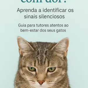 Imagem de capa para o Ebook Meu gato está com dor? Guia prático para identificar sinais silenciosos