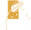 Semilla