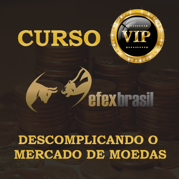 Imagem do curso Curso Vip - Grupo EfexBrasil 