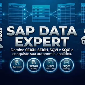 Imagem do curso Formação SAP Data Expert: Domine a SE16N, SE16H, SQVI e SQ01