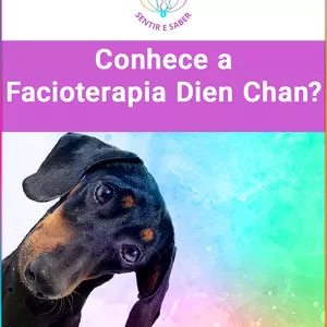 Imagem de capa para o Curso online Facioterapia - DIEN CHAN