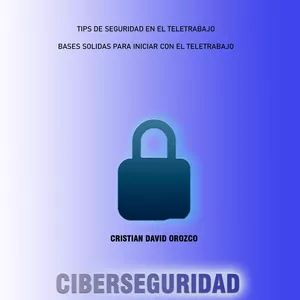 Imagen de portada para Ebook CIBERSEGURIDAD 